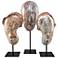 Currey & Company Ceramic Glazed Masks Set of 3
