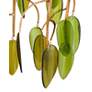 Thumbnail2 of Currey & Company Midsummer 16" Green Leaves 1-Light Pendant more views