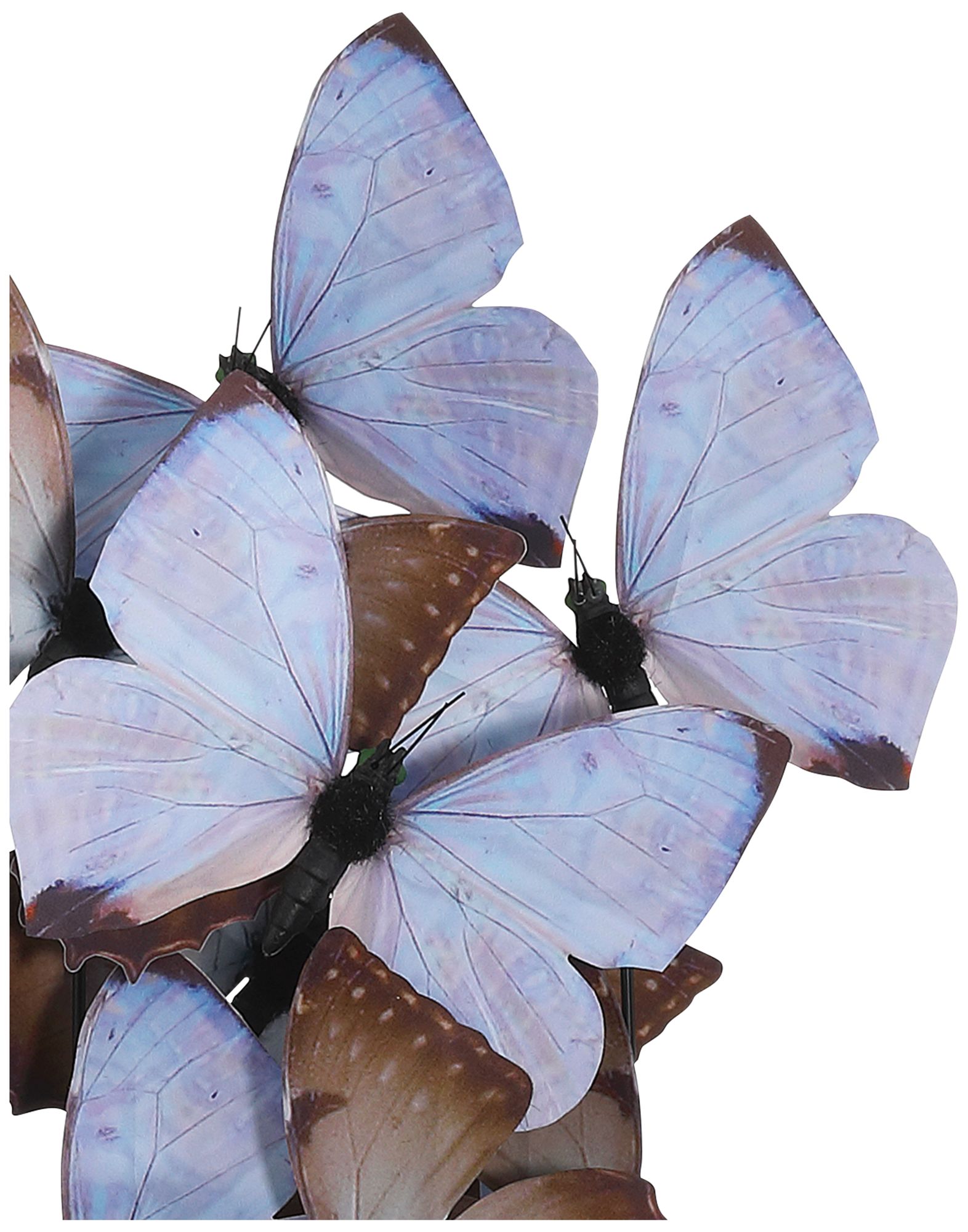 Image 2 Currey & Company 13" x 10.5" x 7.25" Rue de Bac Lilac Medium Butterflies more views