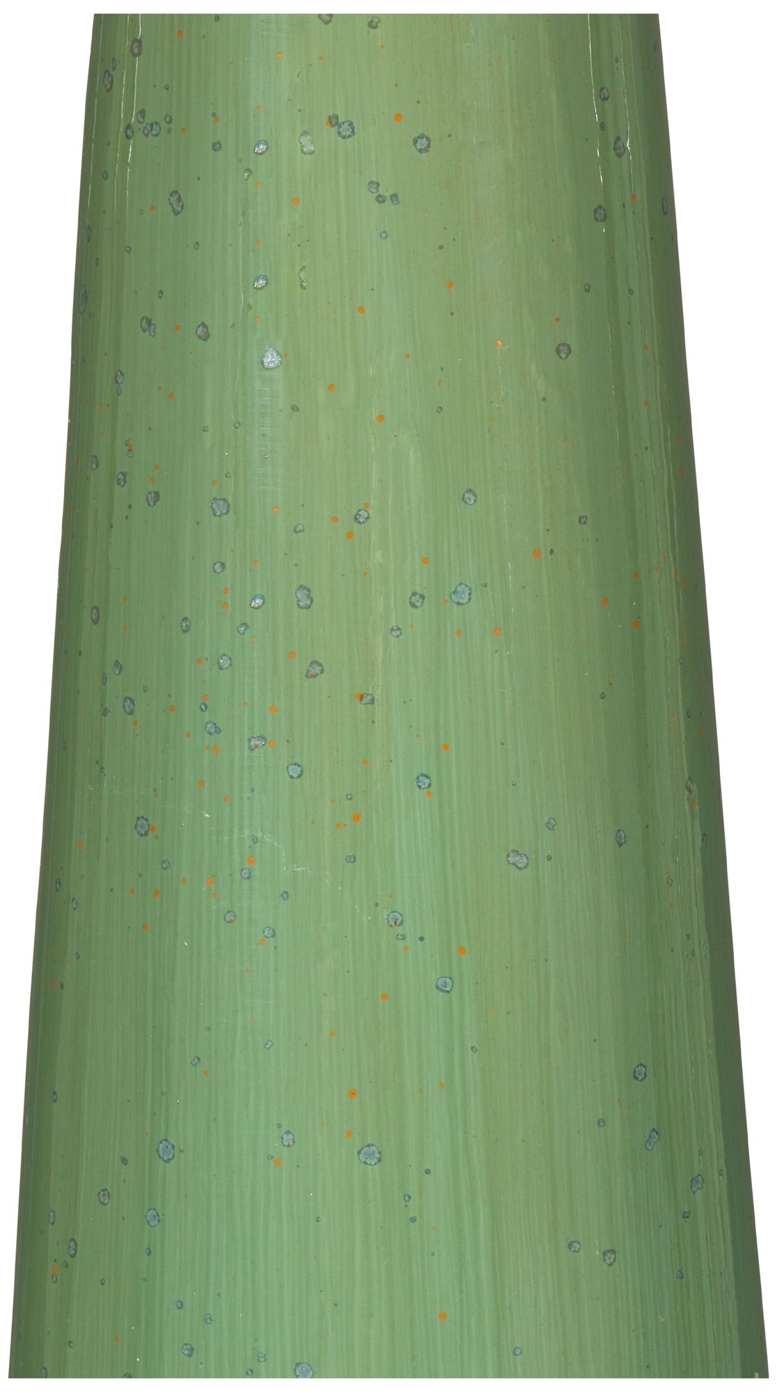 Image 2 Currey & Company 32" Grassington Table Lamp more views