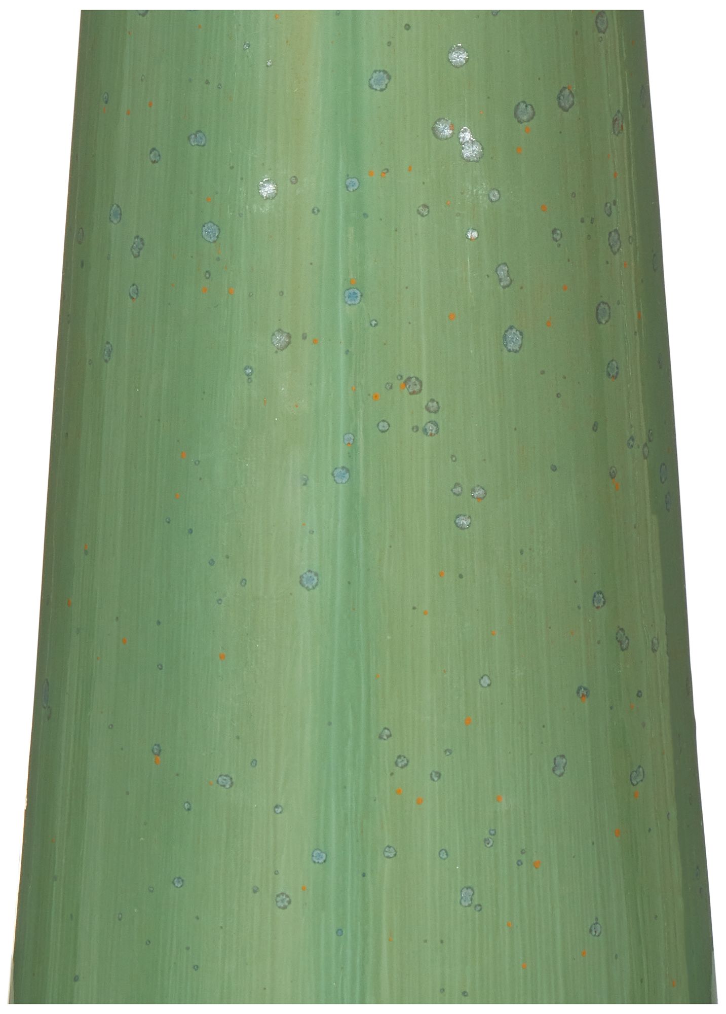 Image 3 Currey & Company 32" Grassington Table Lamp more views