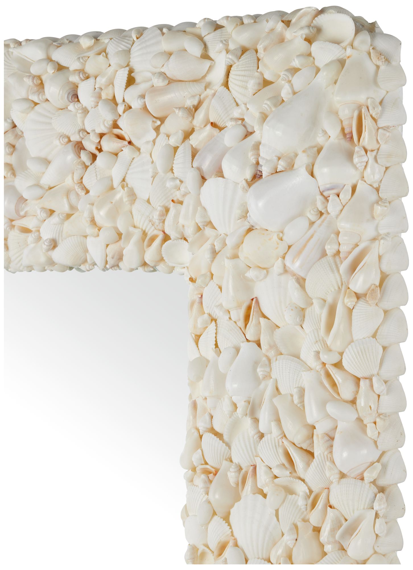 Image 2 Currey & Company 48.25" x 32.5" x 3" Turbinella Rectangular Mirror more views