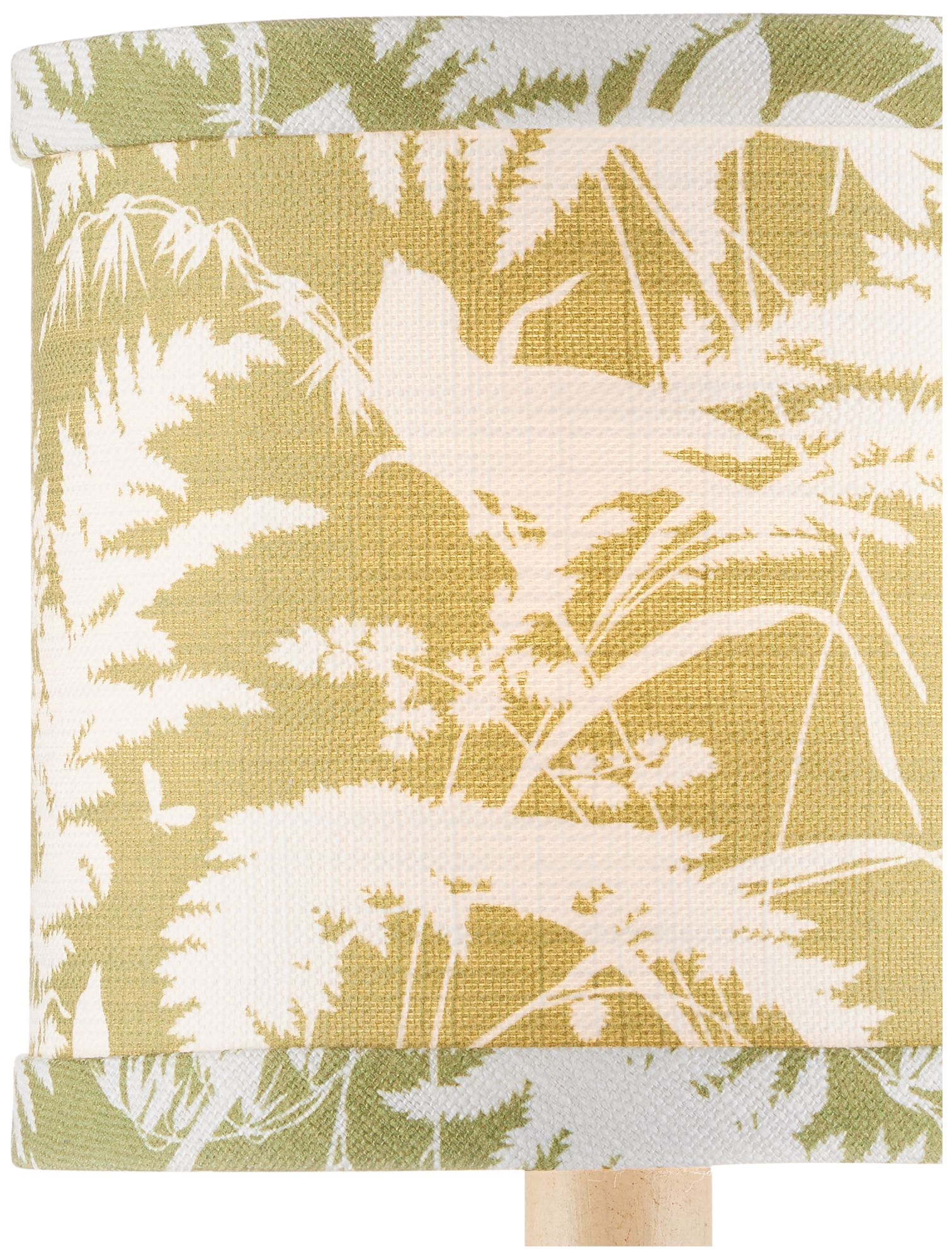 Image 2 Currey & Company 5" x 5" x 5"Aviary Moss more views