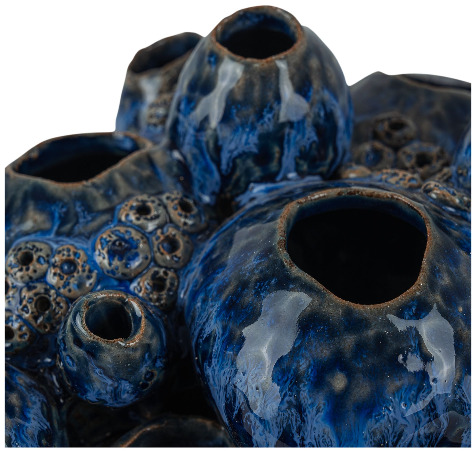 Image 2 Currey & Company 6.75" x 7.5" x 10" Sulawasi Blue Shells more views