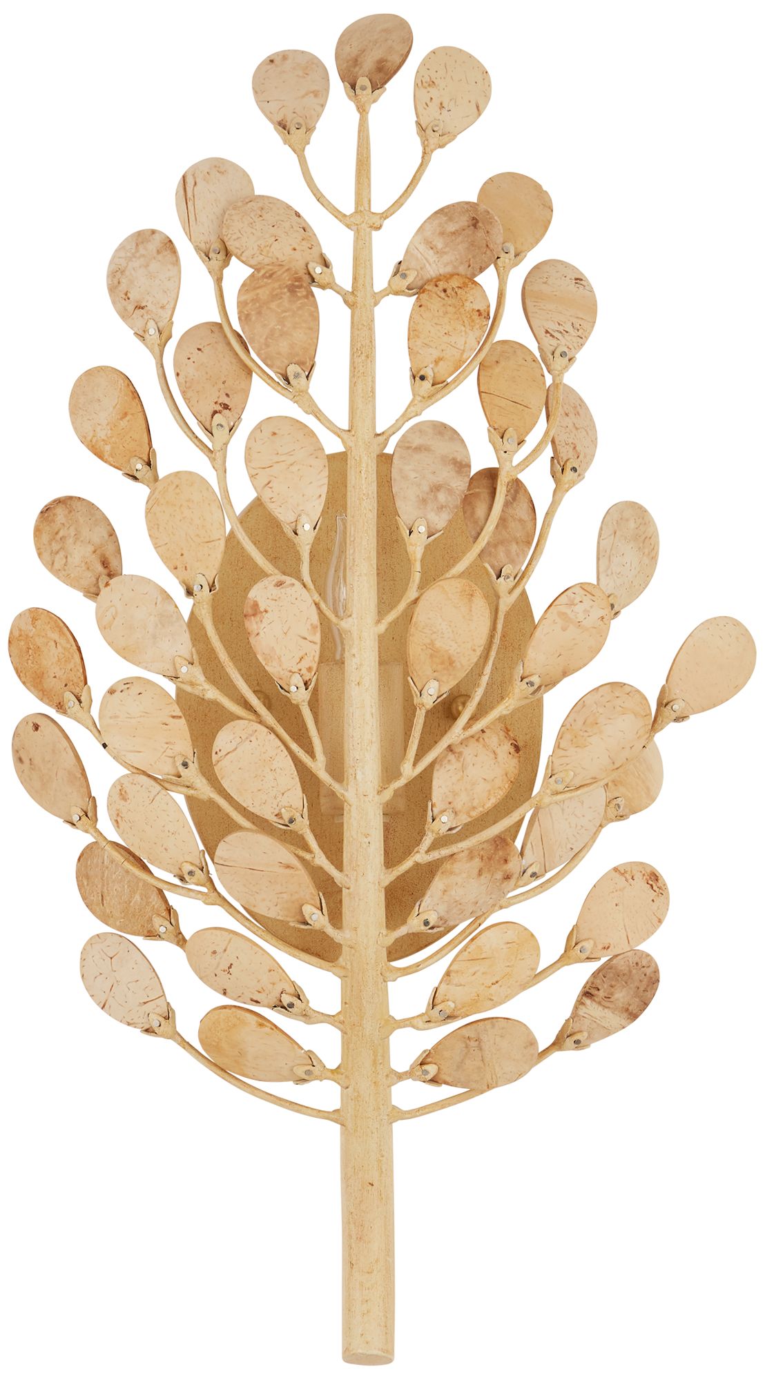 Image 4 Currey & Company Maypan 1-Light Wall Sco more views