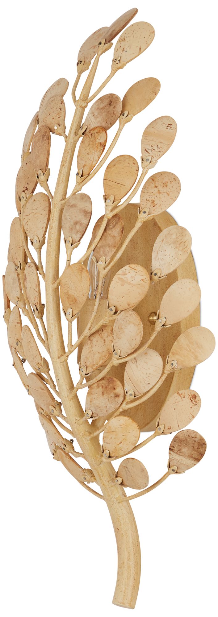 Image 5 Currey & Company Maypan 1-Light Wall Sco more views