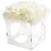 Cyan Design Mitza 21 3/4" Clear and White Accent Stool