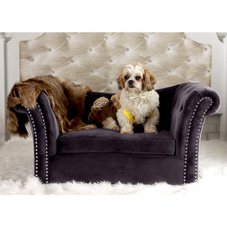 Image 6 Dachshund Gray Velvet and Wood Pet Bed more views