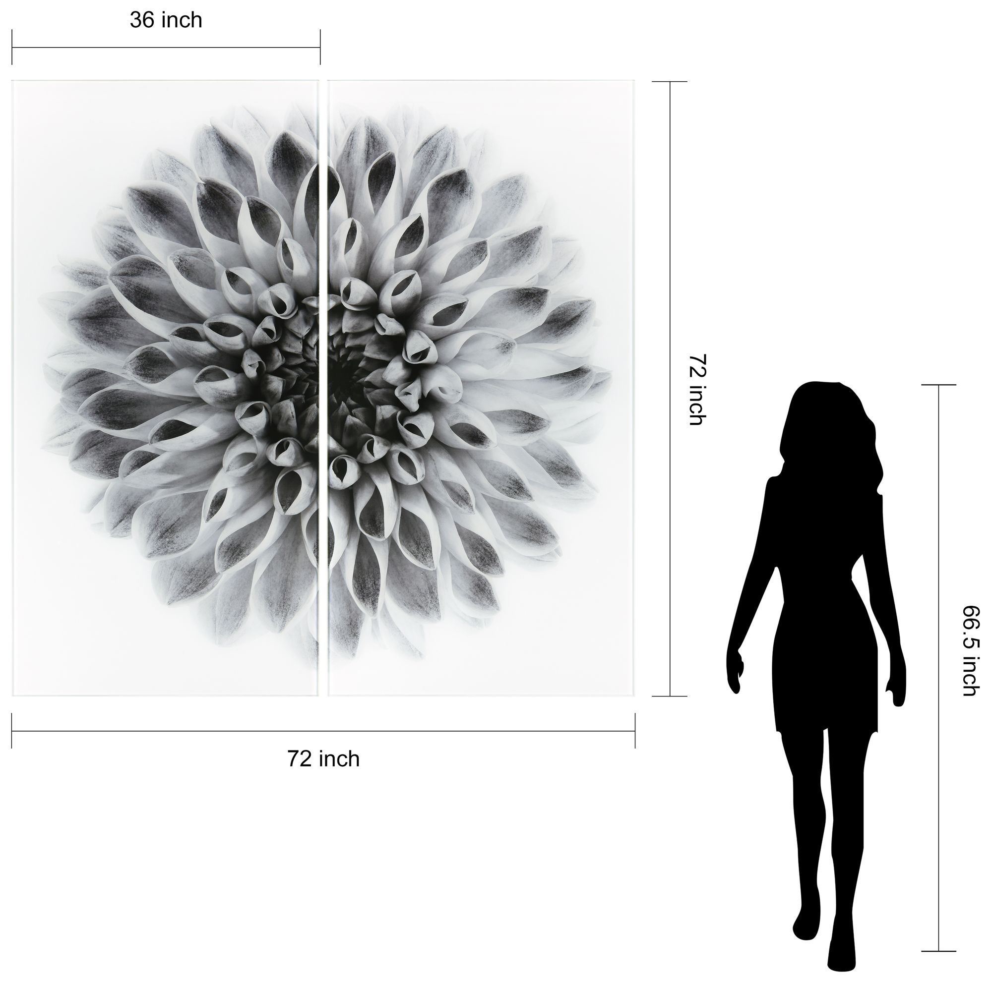 Dahlia AB" Frameless Printed Tempered Glass Wall Art Set of 2