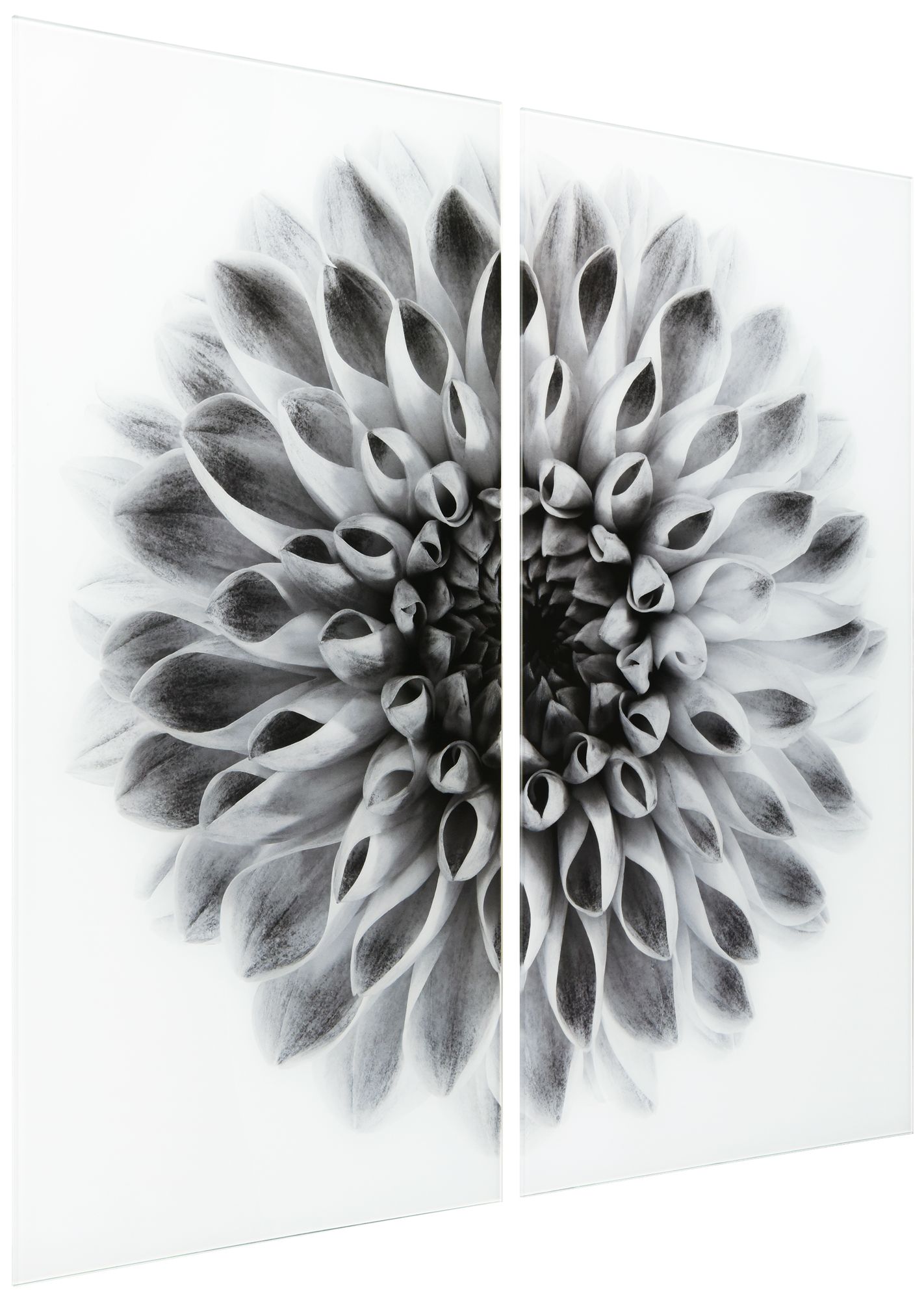 Image 4 Dahlia AB" Frameless Printed Tempered Glass Wall Art Set of 2 more views