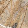 4_Dahlia Studios Margaret 13 1/2" Wide Brown Coffee Marble Plate more views