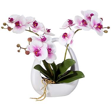 Dahlia Studios Pink White Phalaenopsis 13" Faux Orchids in White Pot