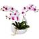 Dahlia Studios Pink White Phalaenopsis 13" Faux Orchids in White Pot