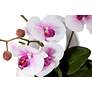 5_Dahlia Studios Pink White Phalaenopsis 13" Faux Orchids in White Pot more views