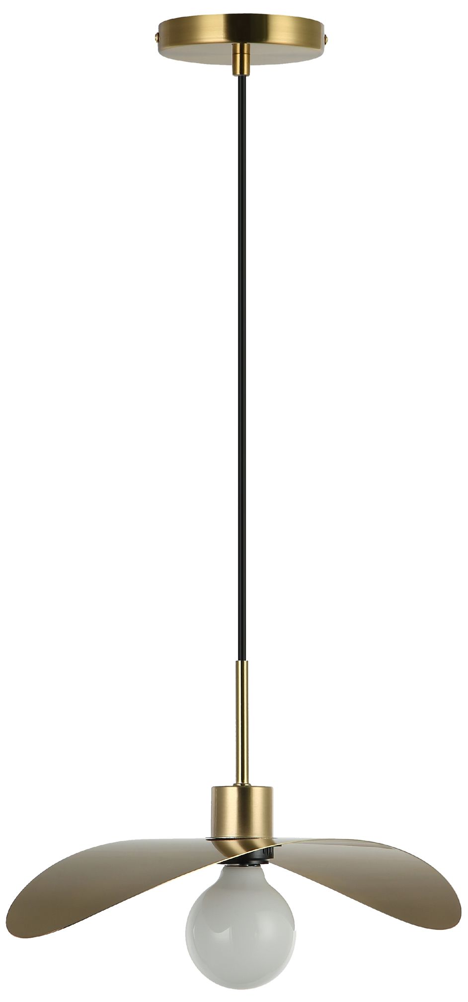 Dainolite Christobel Gold Collection