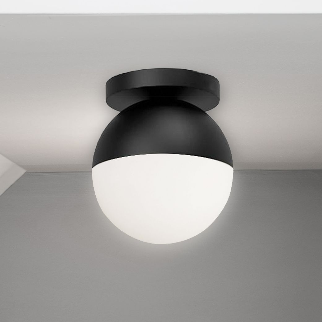 Dainolite Dayana Black Collection