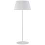 Dainolite Gretchen 62 3/4" High White Finish Modern Floor Lamp