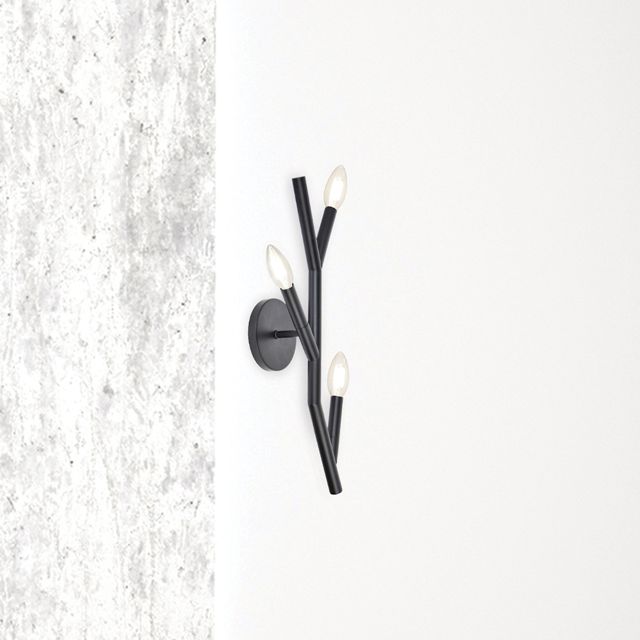 Dainolite Morgan Black Collection