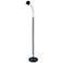 Dainolite Noah 53" Black Modern Gooseneck Arm LED Floor Lamp