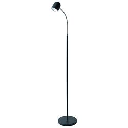 Dainolite Noah 53" Black Modern Gooseneck Arm LED Floor Lamp