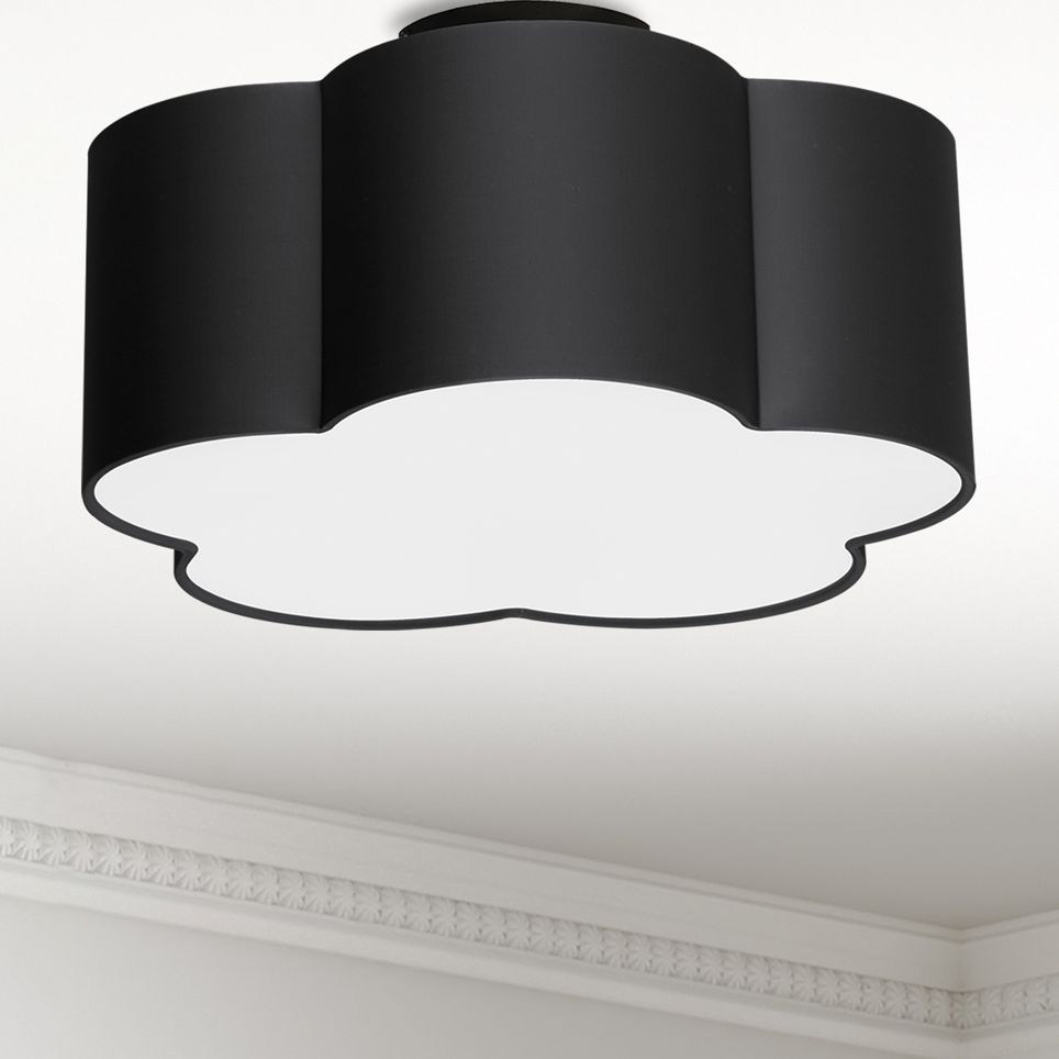 Dainolite Phlox Black Collection