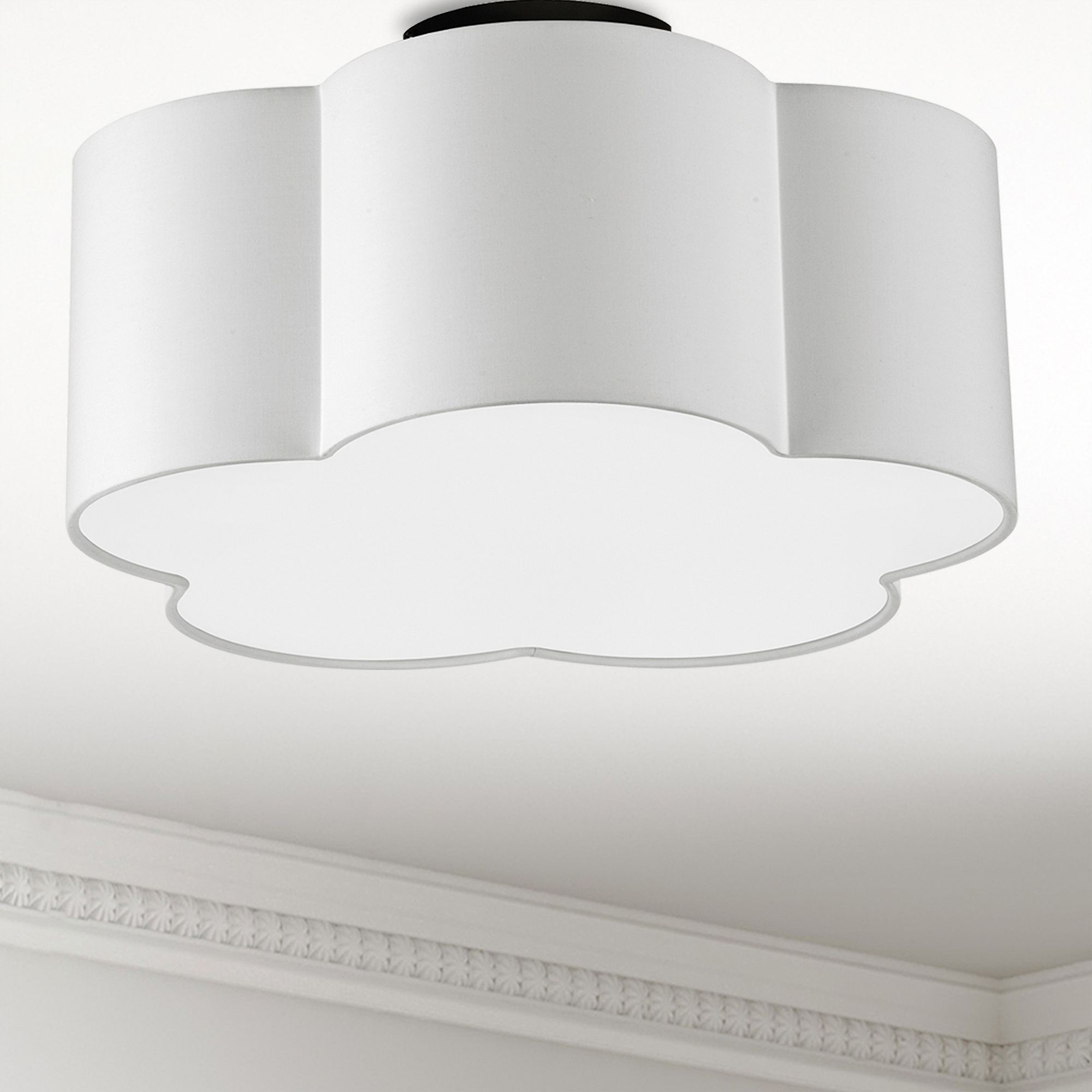 Dainolite Phlox Black Collection