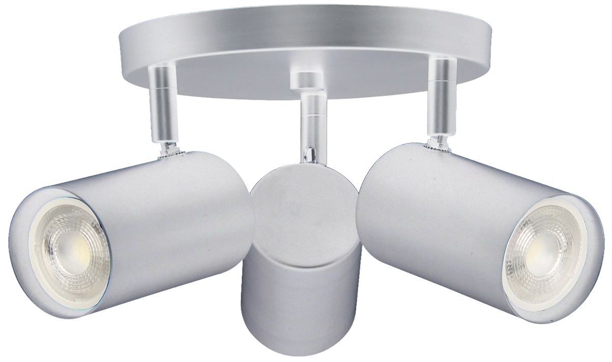 Dainolite Taylor Silver Collection