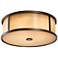 Dakota 14" Wide Indoor - Outdoor Ceiling Light