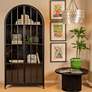 1_Damira 36" Wide Matte Black Metal Arched Curio Cabinet