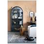3_Damira 36" Wide Matte Black Metal Arched Curio Cabinet more views