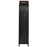6_Damira 36" Wide Matte Black Metal Arched Curio Cabinet more views