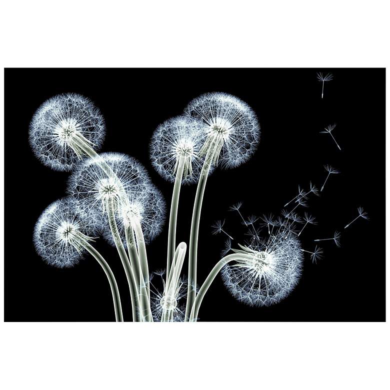 Image 2 Dancing Dandelions 48 inch Wide Tempered Glass Graphic Wall Art