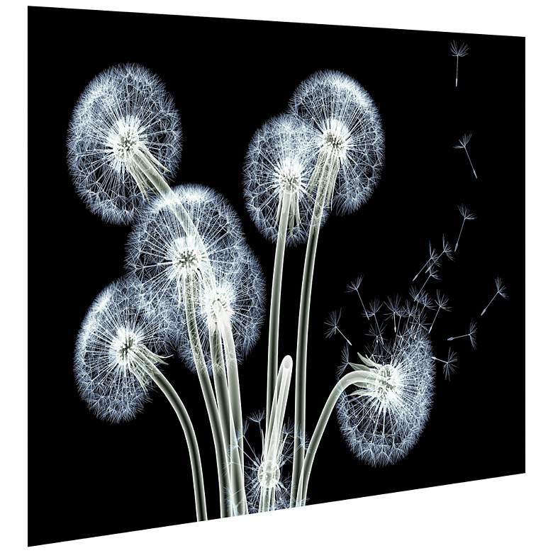 Image 4 Dancing Dandelions 48" Wide Tempered Glass Graphic Wall Art more views