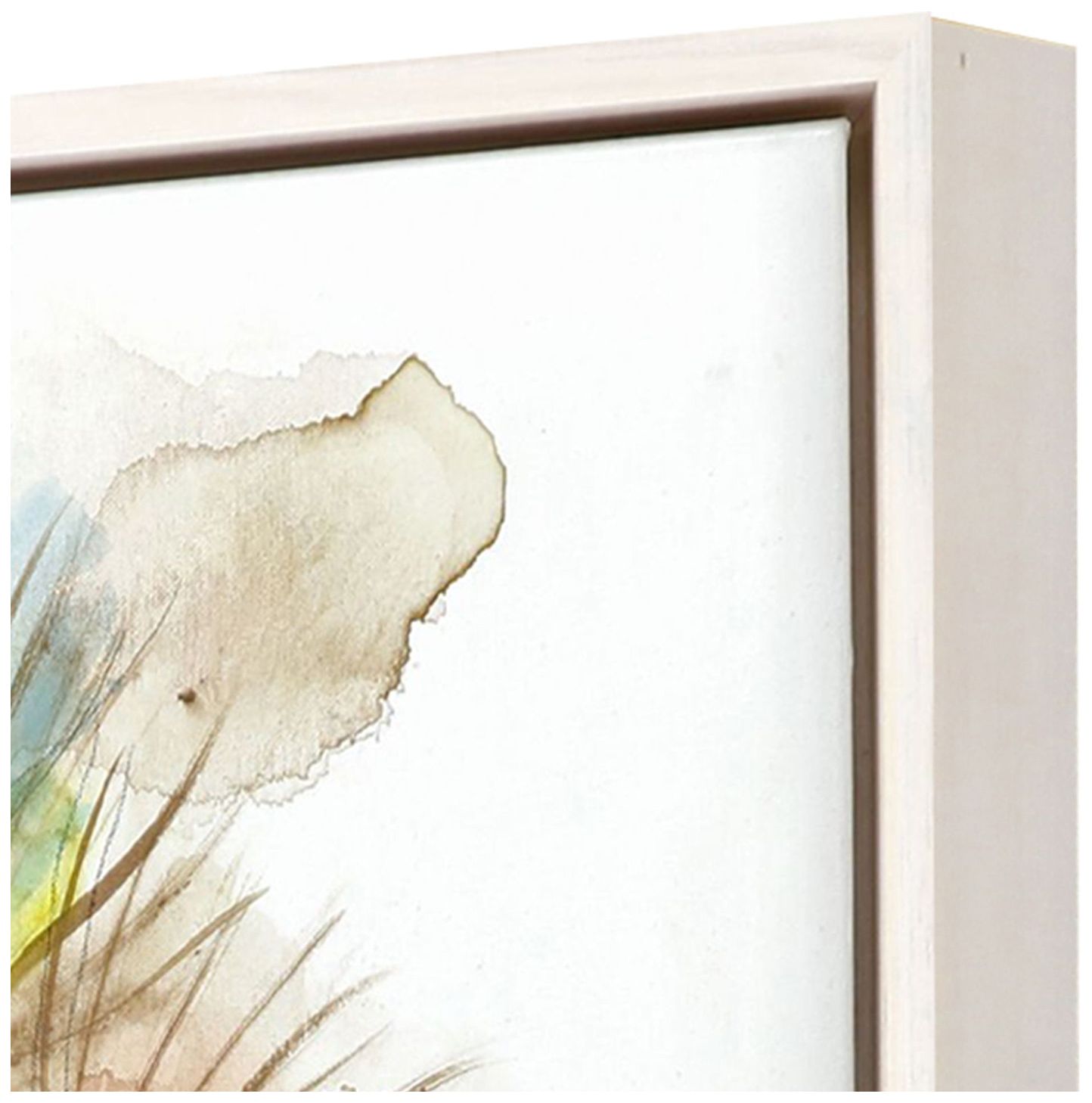 Image 3 Dandelion II 26"W x 26"H Canvas more views