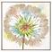 Dandelion IV 26"W x 26"H Canvas