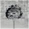 Dandelion Reverse Printed Tempered Glass with Silver Leaf Wall Art