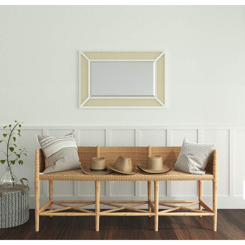 Image 4 Dani Natural Cane and White Wood 24 1/4" x 36" Wall Mirror more views
