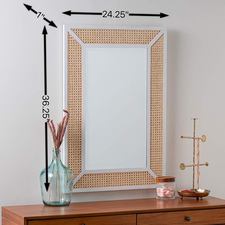 Image 6 Dani Natural Cane and White Wood 24 1/4 inch x 36 inch Wall Mirror more views