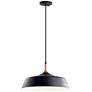 1_Danika Black 1Lt Pendant