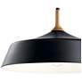 3_Danika Black 1Lt Pendant more views