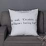 1_Dann Foley 24" x 24 Einstein Quote and Gray Velvet Double Sided Pillow