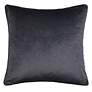 3_Dann Foley 24" x 24 Einstein Quote and Gray Velvet Double Sided Pillow more views