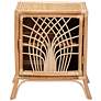 7_Danna 22" Wide Natural Brown Rattan 1-Door Nightstand more views