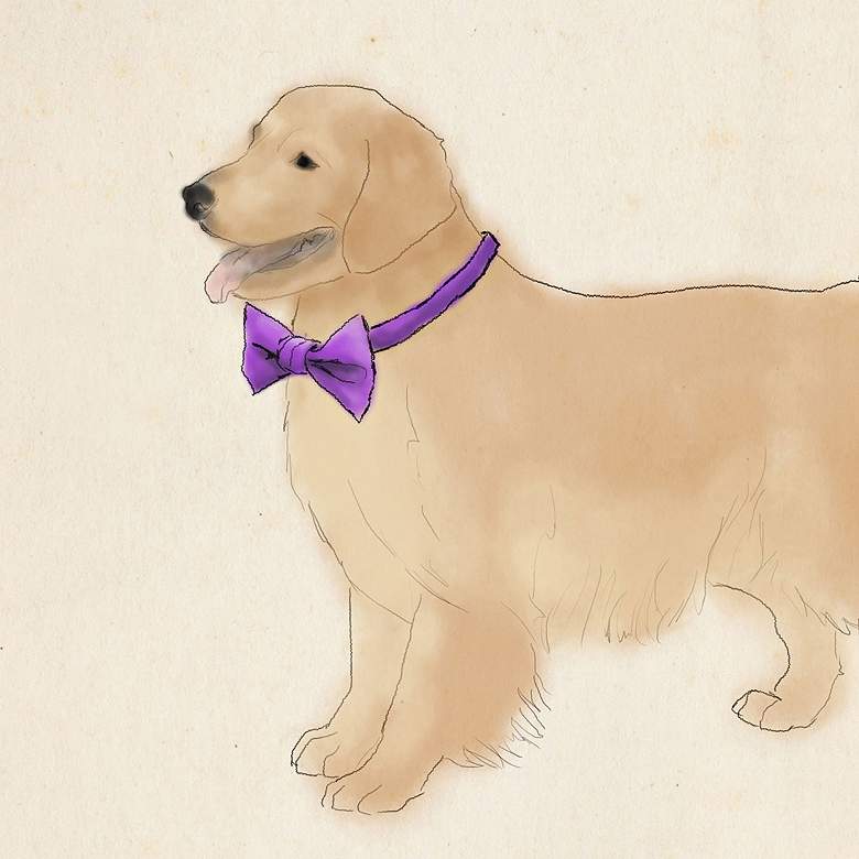 Image 1 Dapper Golden Retriever 12" Square Canvas Wall Art