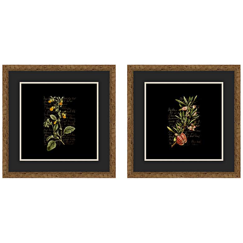 Image 1 Dark Florals 18 inch Square 2-Piece Framed Giclee Wall Art Set