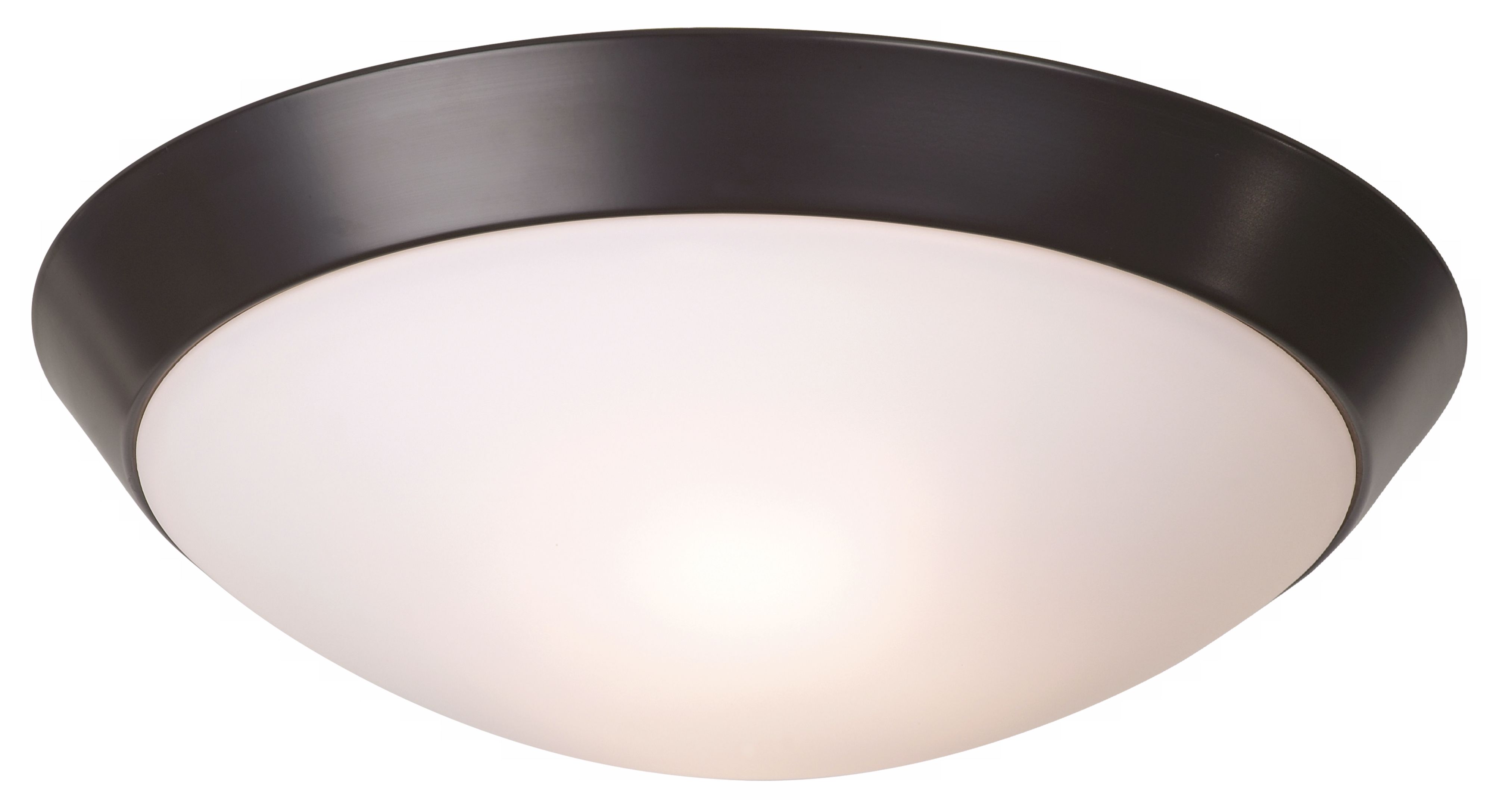 Davis 15" Wide Oil-Rubbed Bronze Ceiling Light Fixture 