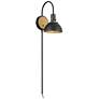 Dawn Pin Up Wall Sconce - Antique Brass/Black