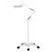 Daylight Bulb and Magnifying Lens Floor Lamp