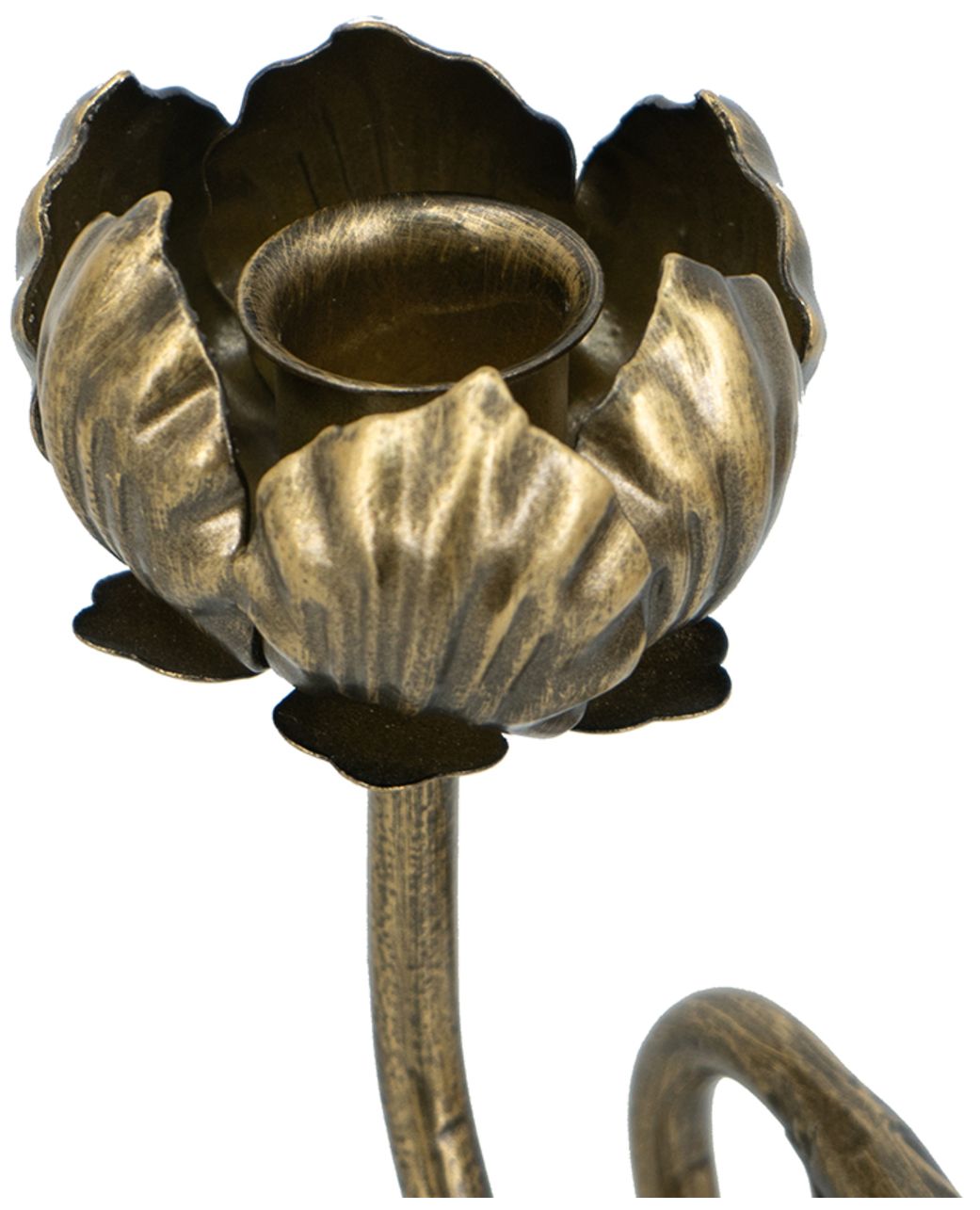 Image 4 Decorative Antique Gold Iron Candle Holder with Tulip Design more views