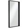 Delaney Matte Black 24"x42" Rectangular Wall Mirror